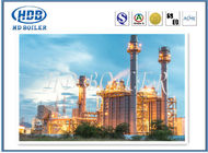 ASMEの標準の発電所のための合金によってカスタマイズされる熱回復蒸気発生器